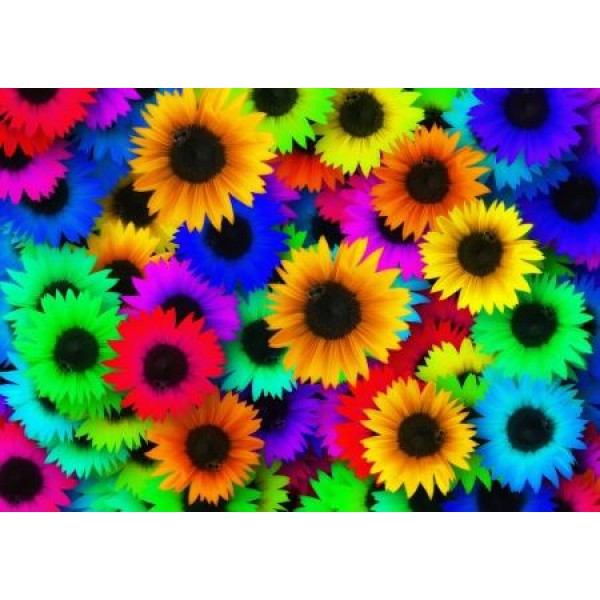 Rainbow Flowers Diamond Painting Kit - DIY Rainbow Flowers-5