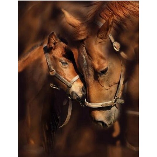 Horses Love Forever Diamond Painting Kit - DIY